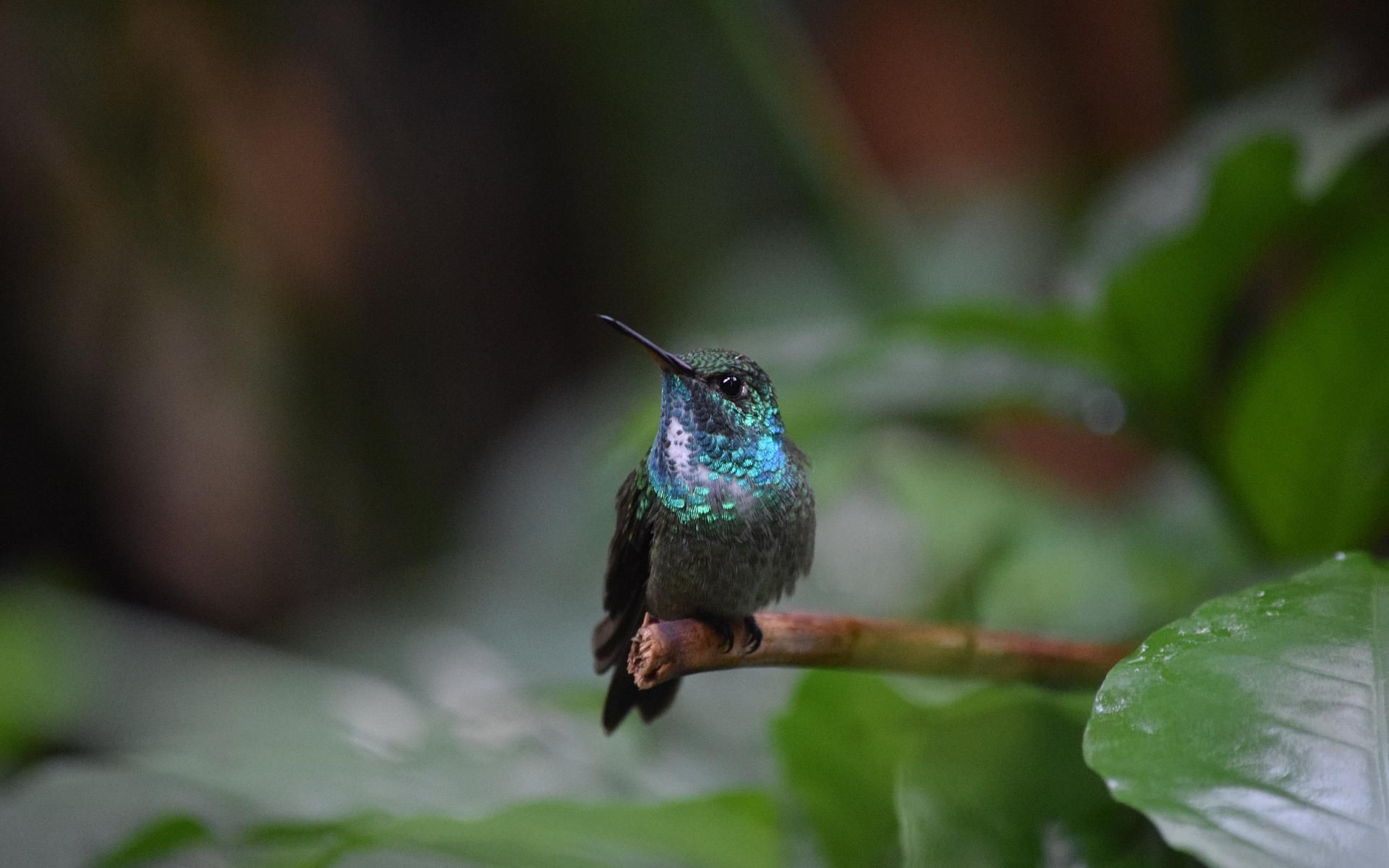 Términos legales de Grand Crucero Iguazú Hotel